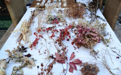 Novembre : sujets secs