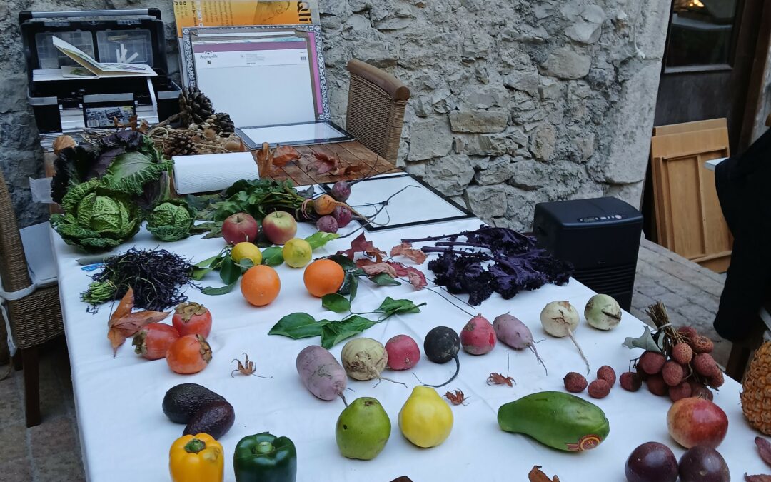 Cours de décembre 2025